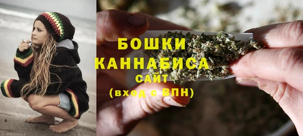 PSILOCYBIN Белоозёрский
