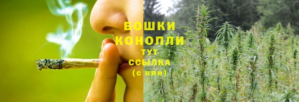PSILOCYBIN Белоозёрский